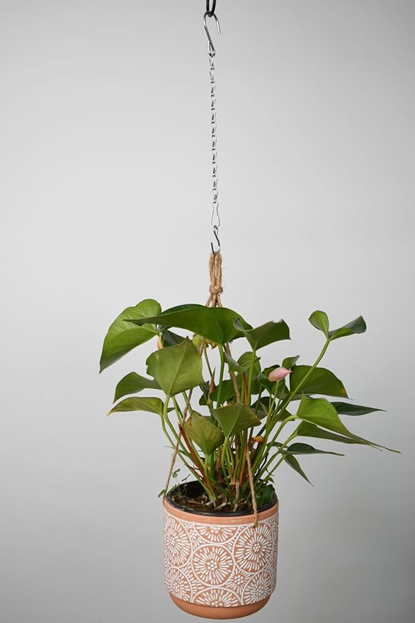 Chain for Hanging Plants,11 Inch Silver Hanging Chain, Small Hanging Basket Chain Kits with Hooks for Bird Feeder Hanging Plant Extender Porch Wind Chime (Silver, 11 Inch-12PCS)