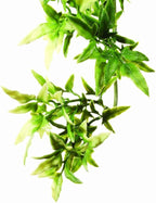Exo Terra Plastic Terrarium Plant, Small, Croton