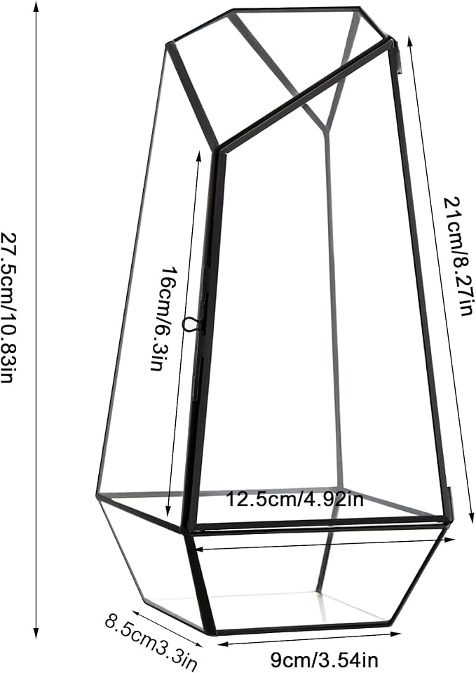 FISCRAT Tabletop Glass Terrarium -5"x5"x10.8" Black Metal Frame Indoor Plant Display Container with Openable Door, Low--Maintenance Succulent Ecosystem, Space Saving Art Decor (Plants Not Included)