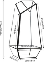 FISCRAT Tabletop Glass Terrarium -5"x5"x10.8" Black Metal Frame Indoor Plant Display Container with Openable Door, Low--Maintenance Succulent Ecosystem, Space Saving Art Decor (Plants Not Included)