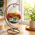 Creations by Nathalie - 5" Glass Globe Succulent Terrarium Kit, Hanging DIY Starter Kit for Kids and Adult, Metal Stand, Reindeer Moss, Crystal & Rocks, Tools, Figurine (Live Plant Included)