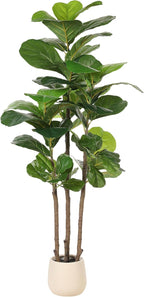 Realead Fiddle Leaf Fig Tree Artificial - 5ft Faux Fiddle Leaf Fig Tree with White Planter - Large Fig Tree Artificial with Natural Wood Trunk and Lifelike Leaves for Home Living Room Indoor Decor
