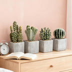 4Pcs Realistic Faux Cactus Set, Lifelike Resin Mini Cacti in Pots - No-Care Artificial Plants for Home Office Desk Decor, Shelf, Party - Durable, Easy Clean, for Plant Lovers