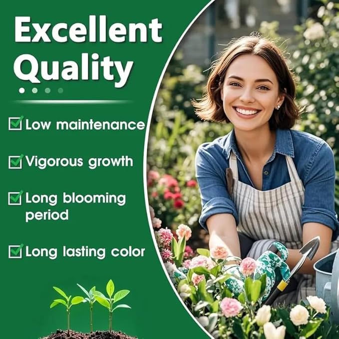 199+ Hosta Flower Seeds for Planting - Non-GMO Heirloom Perennial, Perfect for Shaded Gardens, Low Maintenance & Long Blooming Plants