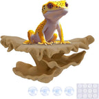 Westant Mushroom Decor for Reptile Tank, Fish Tank, Pet-Safe Bearded Dragon Tank Accessories, Realistic Terrarium Plants for Leopard Geckos, Crested Geckos, Tree Frogs, Snakes (Almond, Shelf Cap)