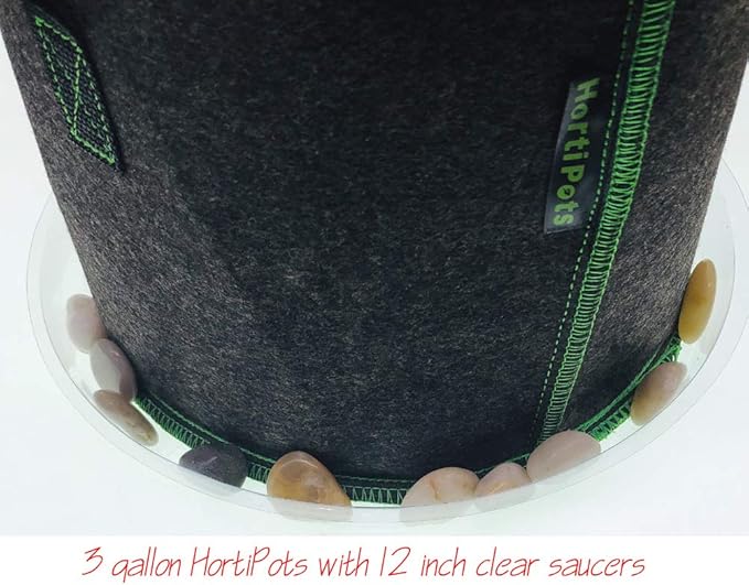 HORTIPOTS Fabric Pots 3 Gallon Non So Floppy Air Pruning Smart Grow Bags Black Gray (Pack of 10)