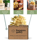 Golden Oyster Mushroom Grow-at-Home Kit - 6lbs - Grow a Commercial Sized Mushroom Crop Easily at Home