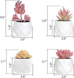 Tiita Artificial Faux Succulents in Pots, Pink Fake Plants Ceramic Arrangement Planter for Women Desk Small Mini Tiny Decoration for Home Office Desk Window 4 Set, Pink