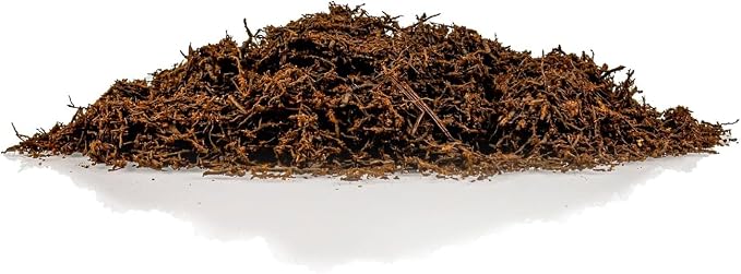 GARDENERA's Premium New Zealand Tree Fern - 10 Quart - Growing Medium for Orchids and Epiphytes | Provides Optimal Drainage and Aeration (2 Bags of 5 Quart)
