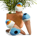 Bird Shaped Plant Watering Globes(Bule 4ps) Plants Suitable for Indoor and Outdoor Use Should be Kept Constantly Moist. The Interesting Shape Makes The Garden More Interesting and Beautiful.