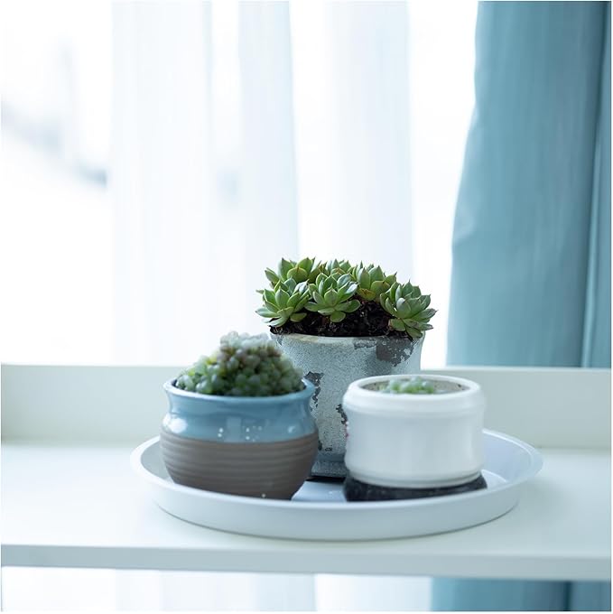 4pcs White Plastic Plant Saucers (10 inch) - Heavy Duty Indoor Plant Trays for Pots with Water Drainage, Drip Catcher & Decor (Set of 4 Round Saucers)