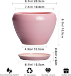 Ceramic Modern Glaze Succulent Planter Pot with Drainage Hole and Saucer 8 Inch Round Flower Plant Pot for Indoor Outdoor Herb Snake Plants, Pink