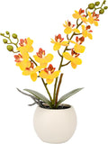 Artificial Orchid Yellow Flower Potted in White Pot, Real Touch Faux Phalaenopsis Orchid for Wedding Home Office Party Decor