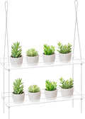 Sumerflos 2-Tier Acrylic Window Boxes Plant Shelves for Window of Kitchen, Bedroom, Living Room, 16 Inch Wall Flower Double Hanger Boxes Adjustable Hanging Shelves for Indoor Plants, Succulents