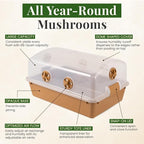 Premium Mushroom Monotub [XLarge, 68Q Grow Kit] Portable and Compact Fruiting Chamber with Filter Discs, Liner and Adjustable Air Vents, 22.8 x 15.7” x 12”, Brown