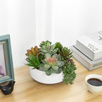 DILATATA Artificial Succulent Plants in Pot 5.5 Inch Fake Succulents Arrangement Potted Plant in White Ceramic Planter Bowl for Home Office Desk Shelf Living Room Bedroom Bathroom Decor