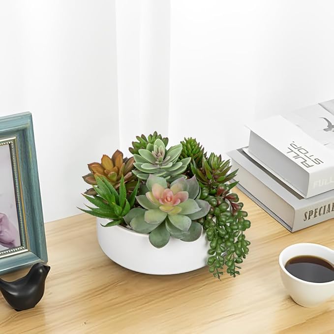 DILATATA Artificial Succulent Plants in Pot 5.5 Inch Fake Succulents Arrangement Potted Plant in White Ceramic Planter Bowl for Home Office Desk Shelf Living Room Bedroom Bathroom Decor