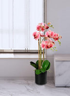 Serene Spaces Living 3 Pink Realistic Phalaenopsis Orchids in Black Plastic Pot, Artificial Potted Flowers - Beautiful Entryway Vase, Foyer Table Décor, Great Gift, Measures 5" Diameter & 26" Tall