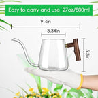 Watering Can Indoor Plants, 27 OZ Glass Watering Can, Long Curved Spout, Suitable for Indoor Plants, Bonsai Garden Flower Decoration
