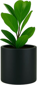 Fox & Fern 10 Inch Black Plant Pot with Drainage Plug — Premium Lightweight Fiberstone Matte Black Planter, 10 Inch Pots for Plants, for Indoor & Outdoor Use, Weather Resistant & UV Resistant