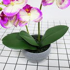 Purple Orchid Artificial Flowers 2 Stems in Grey Pot, Potted Faux Orchid Flower for Home Bathroom Table Living Room Office Kitchen Decor