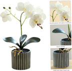 Artificial Orchid 12.6 Inch Tall Realistic Faux Orchid in A Pot Real Touch Decorative Bonsai Fake Flowers for Table Centerpieces Living Room Home Decor White