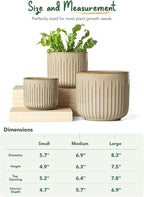 LE TAUCI Ceramic Pots for Plants, 8.3/7/6 Inch Indoor Planters with Drainage Holes & Mesh, Modern Glossy Glaze Cylinder Fluted Plant Pot for Snake Plant, Set of 3, Sand Beige