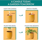 Modern Sprout - 2-in-1 Soy Candle & Planter - Last Light (Bug-Repelling Citronella, Rosemary, Cedarwood, Mint) 6 Oz Scented Candle with Marigold Seeds - Dual Purpose Jar - 38-40 Hour Burn