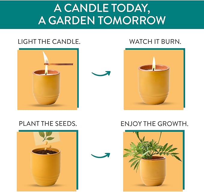 Modern Sprout - 2-in-1 Soy Candle & Planter - Last Light (Bug-Repelling Citronella, Rosemary, Cedarwood, Mint) 6 Oz Scented Candle with Marigold Seeds - Dual Purpose Jar - 38-40 Hour Burn