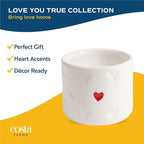 Costa Farms Mini Succulent Live Plants in Decorative Pots, Easy to Maintain Indoor Succulents, Houseplants for Home or Office Decor, House Warming or Birthday Gift, 2-3.5 Inches Tall, Pack of 3