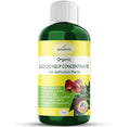 GARDENWISE Organic Premium Seaweed Anthurium Fertilizer - Liquid Kelp Plant Food - Nutrient-Rich Soil Enhancer (32 OZ)
