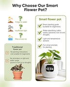 Smart Flower Pot, Smart Pet Planter Robot Guidance on Plant Care with Emoticons, Adorable Plant Companion with Alarm Clock, Living Room Desk Setup Gift