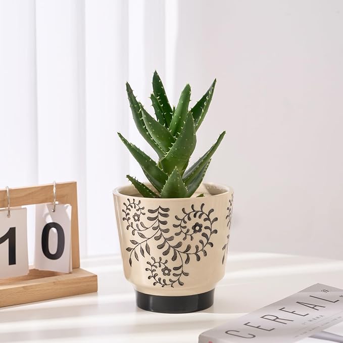 STHIE Indoor Ceramic Plant Pots with Drainage Holes 5 Inch Cute Succulent Flower Pots Small Orchid Planter Pots for Indoor Plants Garden Pots, Flower