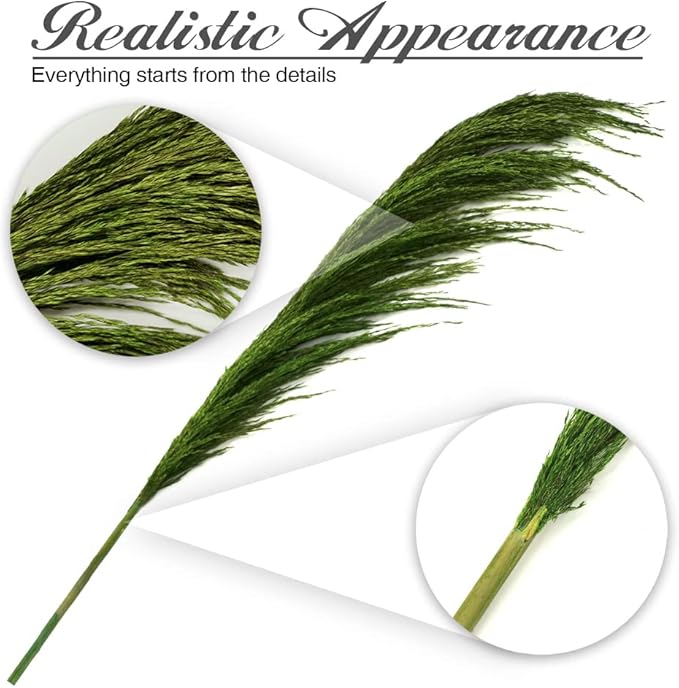 Green Pampas Grass Decor Tall,Long Dried Pampas Grass for Floor Vase, Large Natural Pompas Floral, Elegant Feather Flowers for Wedding Living Room Decorations(Natural Green, 8pcs 31.5"(80cm))