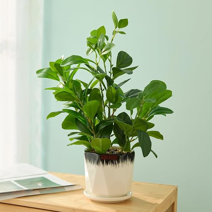 16 inch Fake Plants Indoor Realistic Thick Evergreen Leaf Artificial Plant with Black and White Creamic Pot for Farmhouse Home Room Bedroom Kitchen Office Desk Decor