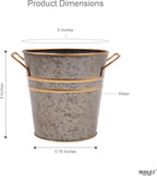 Hosley Set of 3 Zinc Finish Bucket/Pots with PVC Liner 5" Dia x 5" H, Ideal Gift for Floral Arrangements Wedding Home Office Party DIY Indoor Outdoor Garden Patio