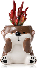 DIYOMR Cute Animals Planter, Mini Ceramic Cartoon Animal Shaped Succulent Flower Pot Indoor Air Plants Holder, Smooth Shiny Decorative Flower Cactus Planter - Plants Not Included (Otter)