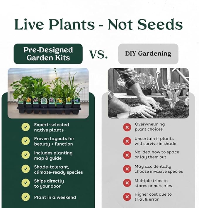Coral Honeysuckle 6 Live Plants (Lonicera sempervirens) – Native Flowering Vine for Hummingbird & Pollinator Gardens, Deer Resistant, Low Maintenance Climbing Plant for Full Sun