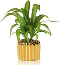 9" Artificial Dracaena Plant with Textured Leaves Golden Ceramic Pot Realistic Faux Greenery Fake Potted Plant Indoor Outdoor Home Decor for Living Room Office Garden Table Centerpiece