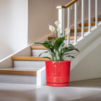 12 Inch Pots for Plants, Ceramic Pots for Plants Indoor Outdoor, Round Flower Pot with Drainage Holes and Saucers, Modern Decorative Planter, Home Porch Decor, Gardening Gifts, Red