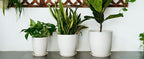 10 Inch Ceramic Planter Pot - Large Plant Pot with Drainage Hole and Saucer, Modern Round Flower Pots for Indoor Outdoor Plants, Garden Planter, White