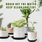 7.5 inch (5.9" at Base) Plastic Plant Saucer Drip Trays Pack of 6, Plant Trays for Indoors, Durable Sturdy Strong Planter Flower Pot Saucers for Outdoor