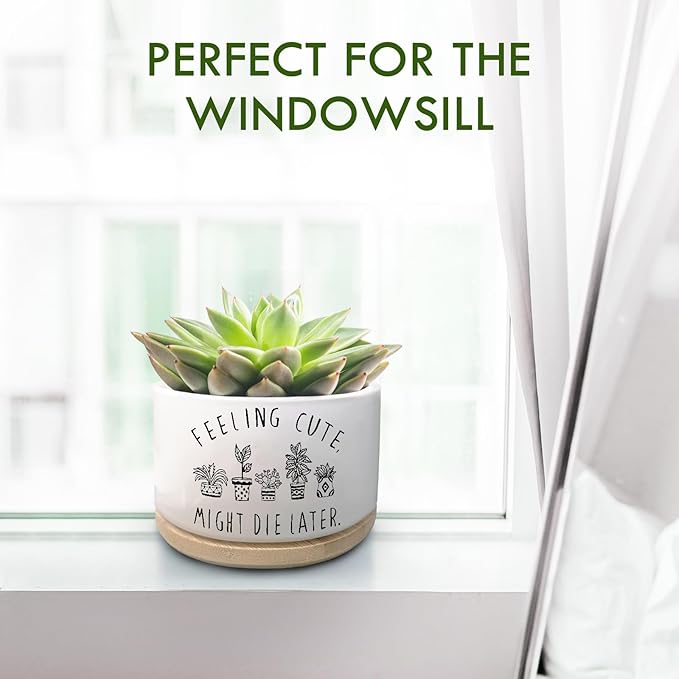 Funny Succulent Plant Pot, Small Flower Planter for Indoor Plants, Cute Ceramic Cactus Planter Pots with Drainage, Windowsill Desk Decor Unique Planter Gift, Feeling Cute (No Plants)