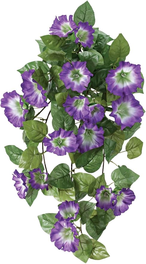 OakRidge Petunia Hanging Stem Outdoor