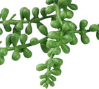 SzJias 6 Pcs String of Pearls Plant Artificial Hanging Succulents Plants for Home Garden Decor