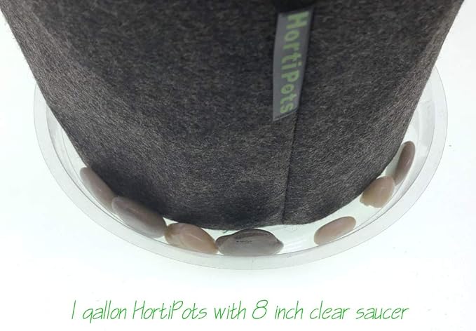 HORTIPOTS Fabric Pots 1 Gallon Non So Floppy Air Pruning Cloth Grow Bags Black Gray (Pack of 6)