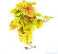 Reptile Plants for Terrarium, Amphibian Habitat Decor Artificial Hanging Plants with Suction Cup - Fake Heuchera Micrantha Yellow