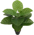 Artificial Caladium Plant with Red and Green Leaves, Red Leaf Artificial Plants Decoration Simulated Bonsai Potted Decor Home Room Party Wedding Office Floor (Green(No Flowerpot), 60cm)