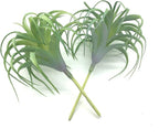 2 PCS Artificial Succulents Plants Real Touch Lifelike Succulants Plants Faux Greenery Plants Garden DIY Home Office Decoration Ornament (Air Plant)