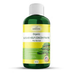 GARDENWISE Organic Premium Seaweed Fertilizer for All Bonsai - Liquid Kelp Plant Food - Nutrient-Rich Liquid Plant Food & Soil Enhancer for Growth Control (32 OZ)